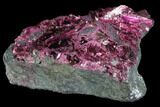 Vibrant, Magenta Erythrite Crystals - Morocco #93589-1